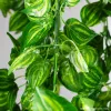 Office space simulation garden branch and leaf tree ornaments, green plant decorations, creative greening ornaments Item Picture